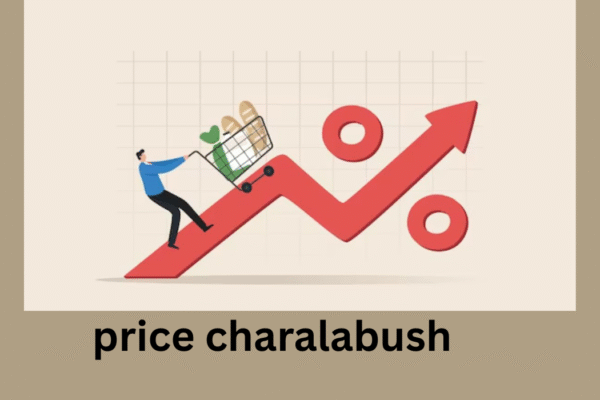 Price Charalambous: A Rising Star in the World of Business and Innovation price charalabush