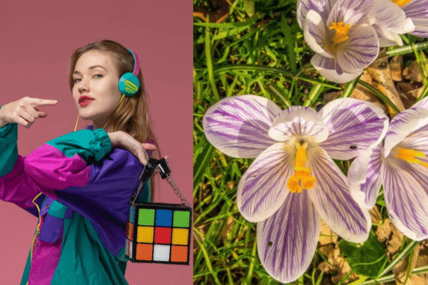 Lillienu: A Deep Dive into Its Beauty and Significance lillienu