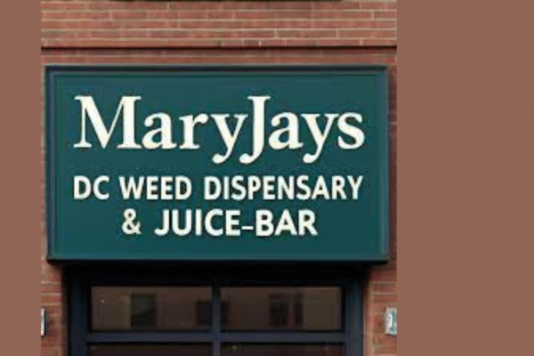Unlock Financial Insights with GoMyFinance.com Credit Score maryjays dc weed dispensary juice bar washington reviews