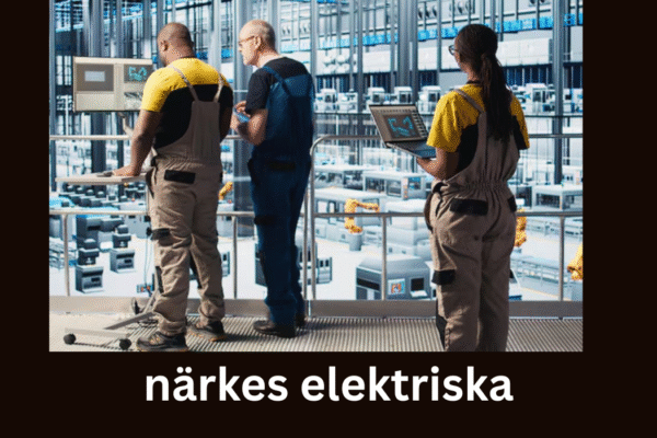 närkes elektriska