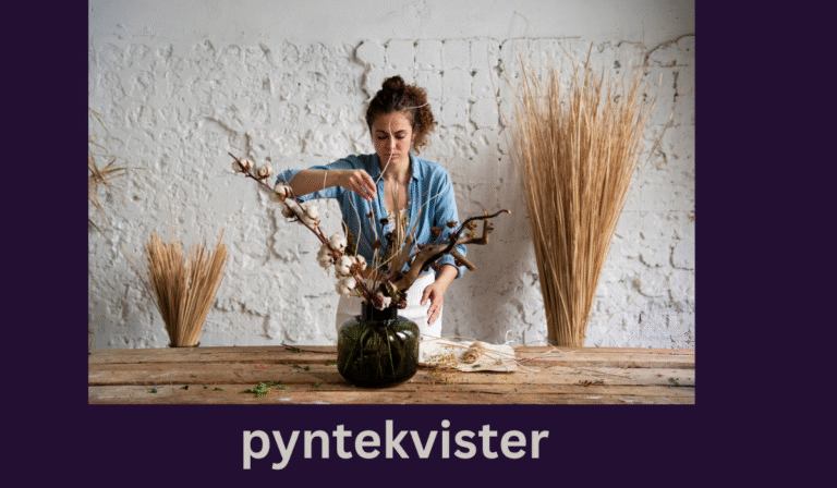 pyntekvister