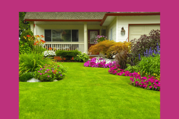 Transform Your Lawn with Lyposingrass: The Ultimate Guide lyposingrass