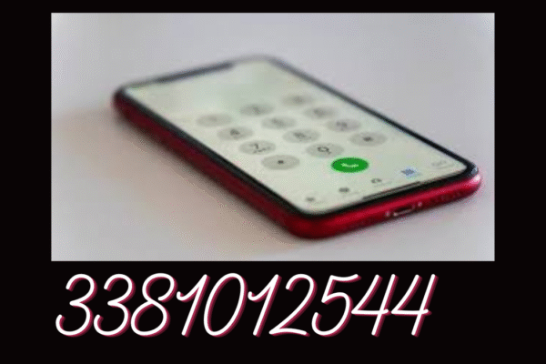 Understanding the Number “3381012544”: A Complete Informational Guide 3381012544