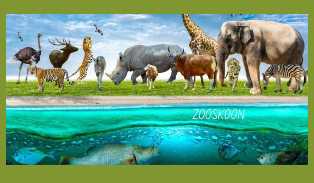 zooskooñ