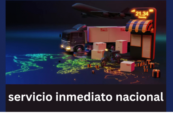Understanding “Servicio Inmediato Nacional”: A Deep Dive into Its Role, Benefits, and Future servicio inmediato nacional