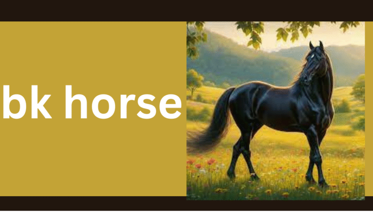 BK Horse – Everything You Need to Know About This Unique Breed, Care, and Riding Culture
