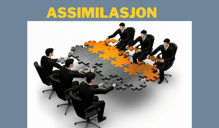 assimilasjon