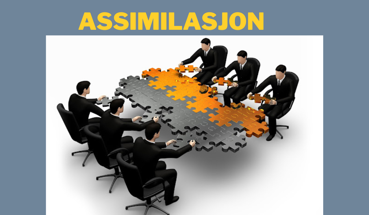 assimilasjon
