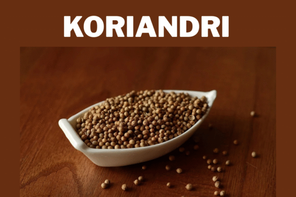Koriandri: The Complete Guide to This Versatile Herb koriandri