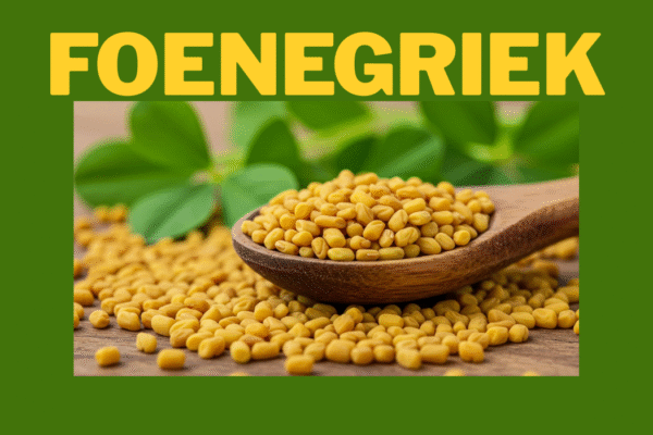 Foenegriek: The Ancient Superfood Transforming Modern Health foenegriek