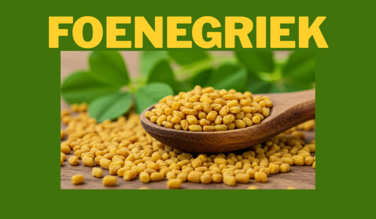 Foenegriek: The Ancient Superfood Transforming Modern Health