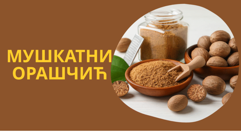 Мушкатни орашчић: Health Benefits, Uses, and Culinary Secrets