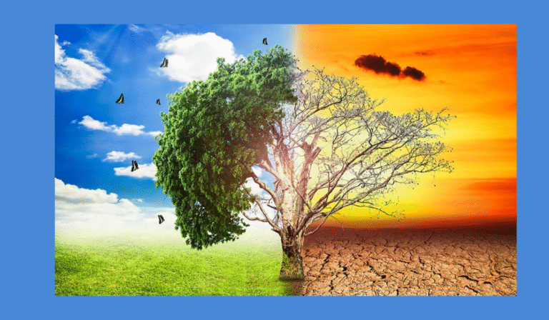 How Newcastle’s Climate Shapes the Right Air Conditioning Choice