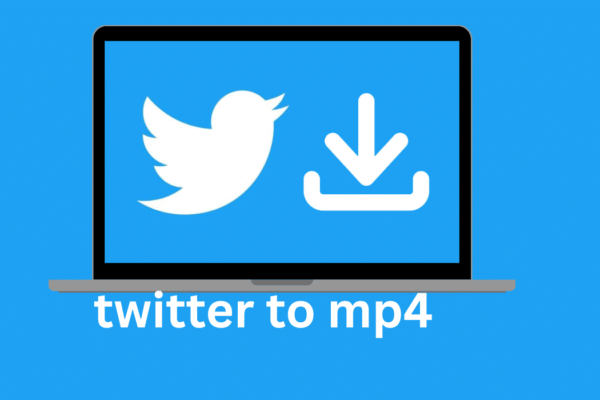 twitter to mp4