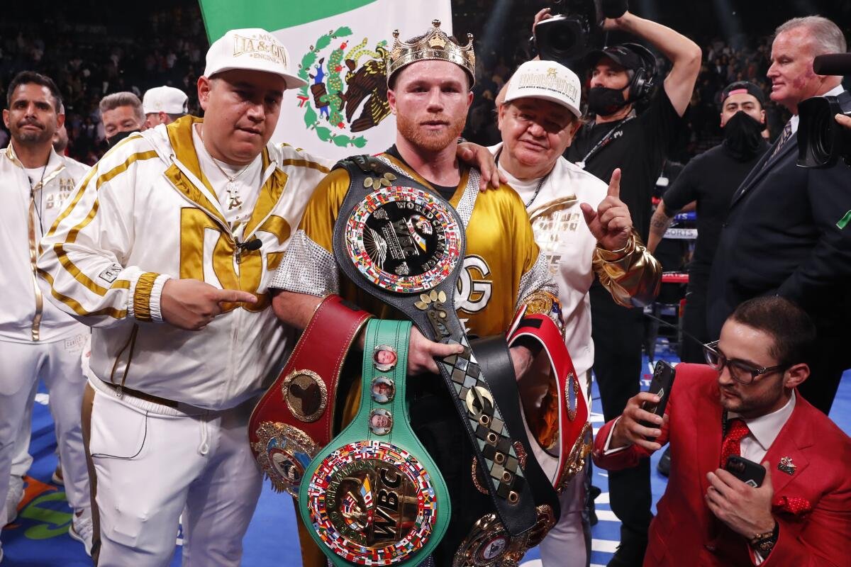 canelo next fight